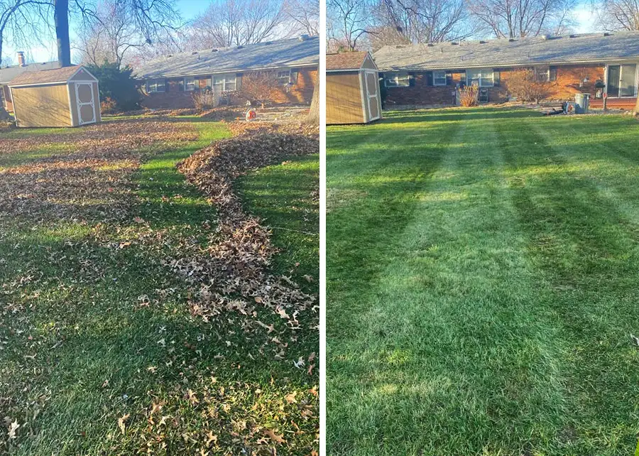 Seasonal Cleanups & Gutters Project 2