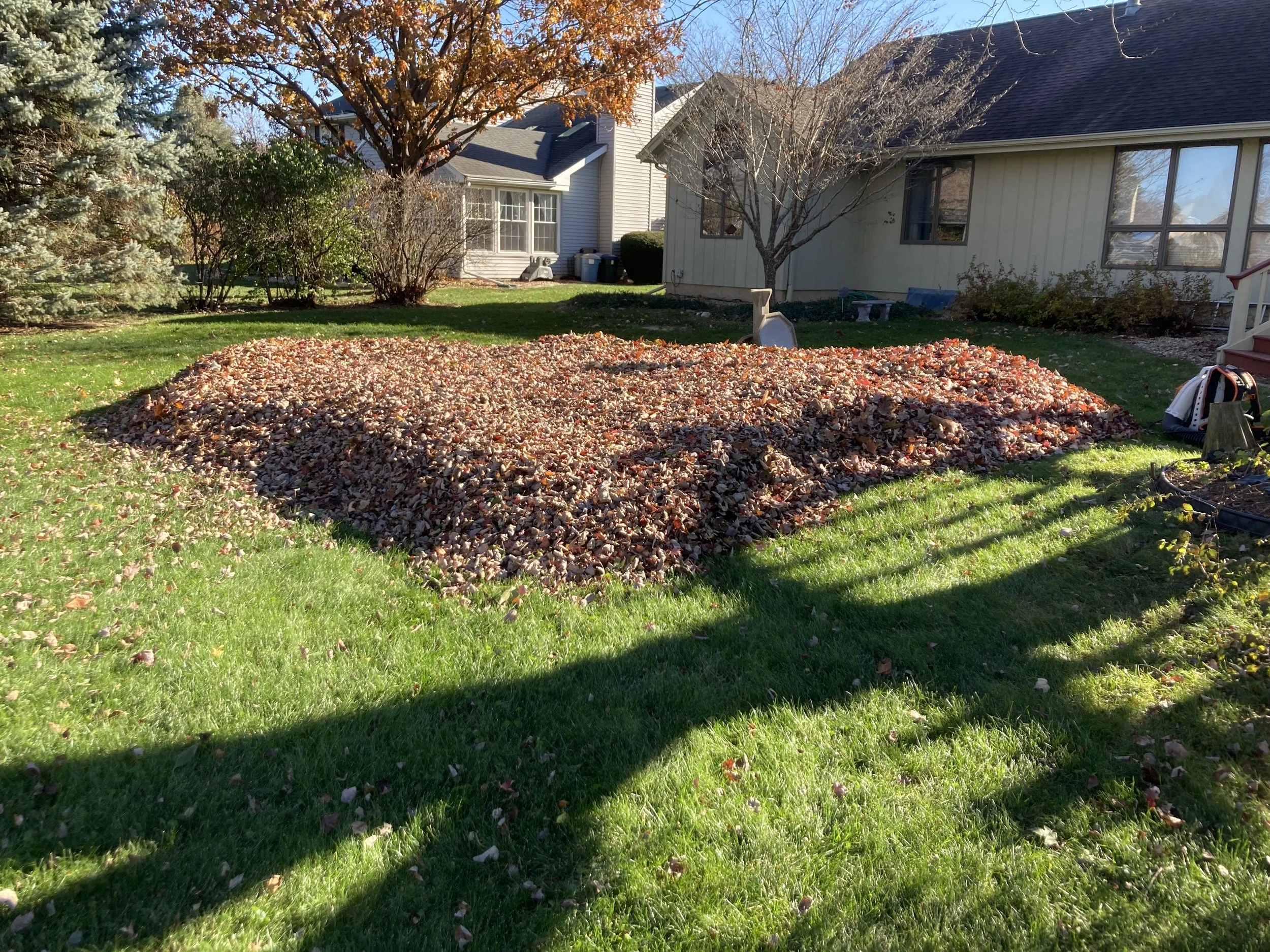 Seasonal Cleanups & Gutters Project 3