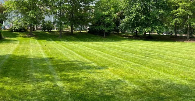 Lawn Maintenance Project 2