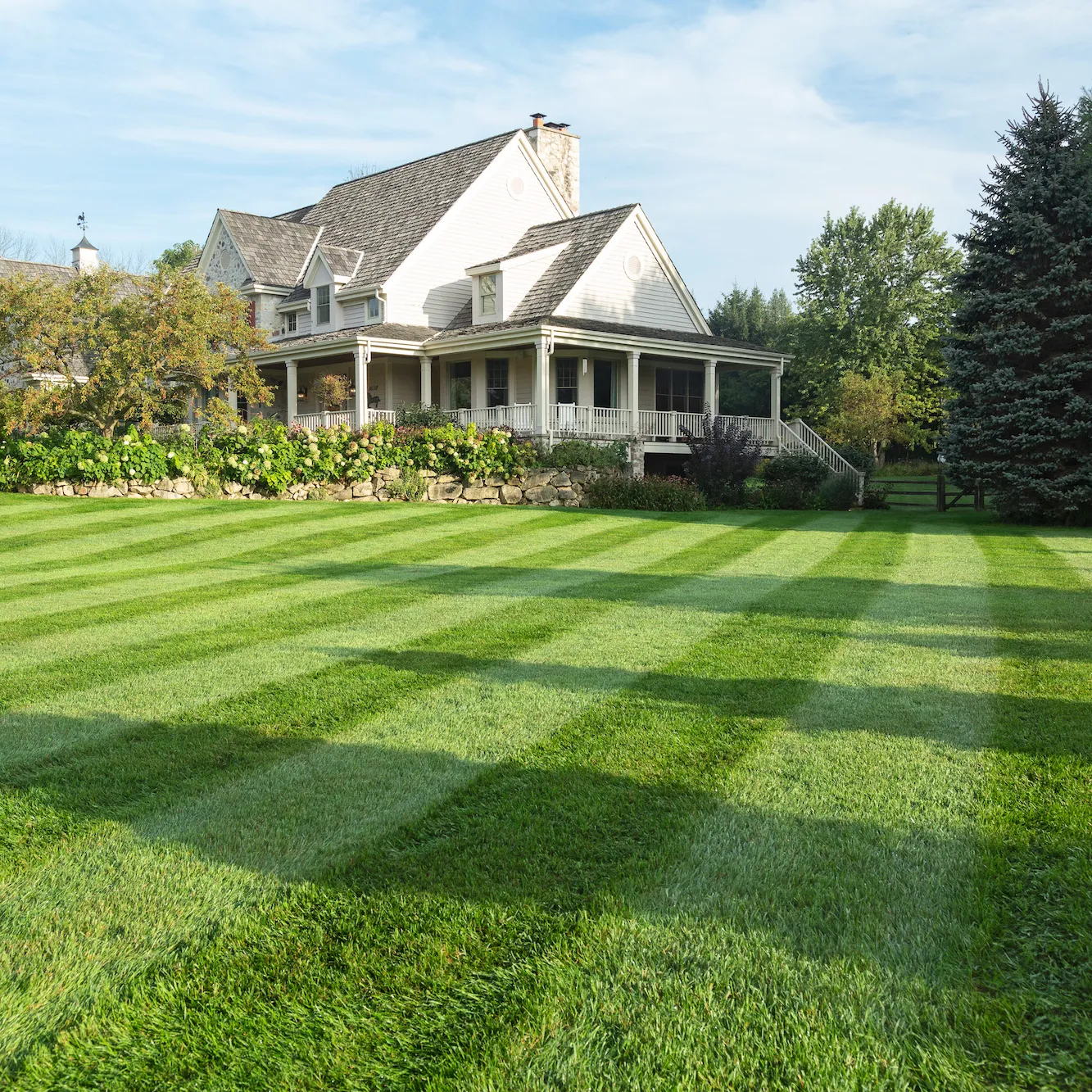 Perfect Green Lawn