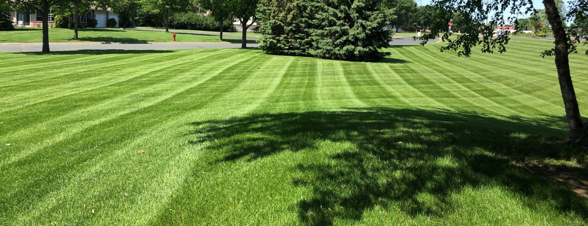 Lawn Care Services